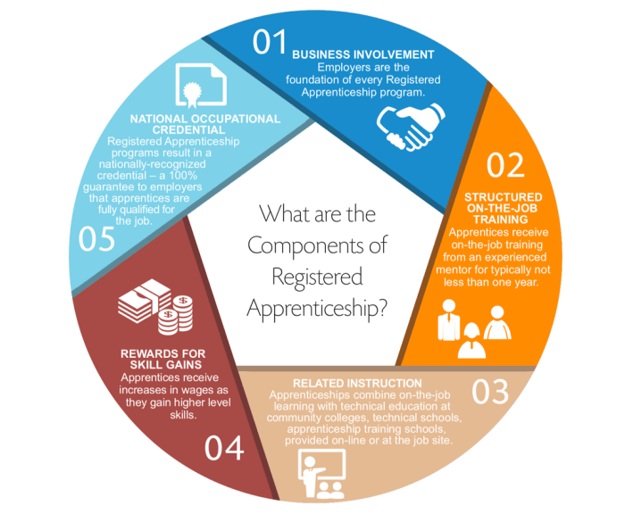 An apprenticeship program is apex