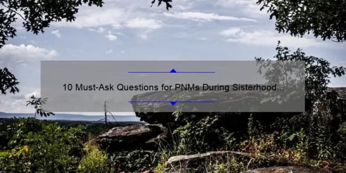 Questions to ask pnms during recruitment