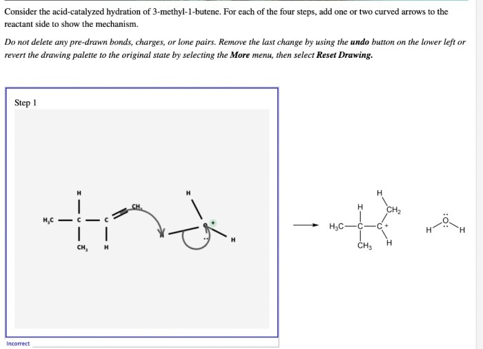 Consider the acid catalyzed hydration of 3 methyl 1 butene