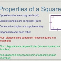 Rectangles rhombuses and squares worksheet answers